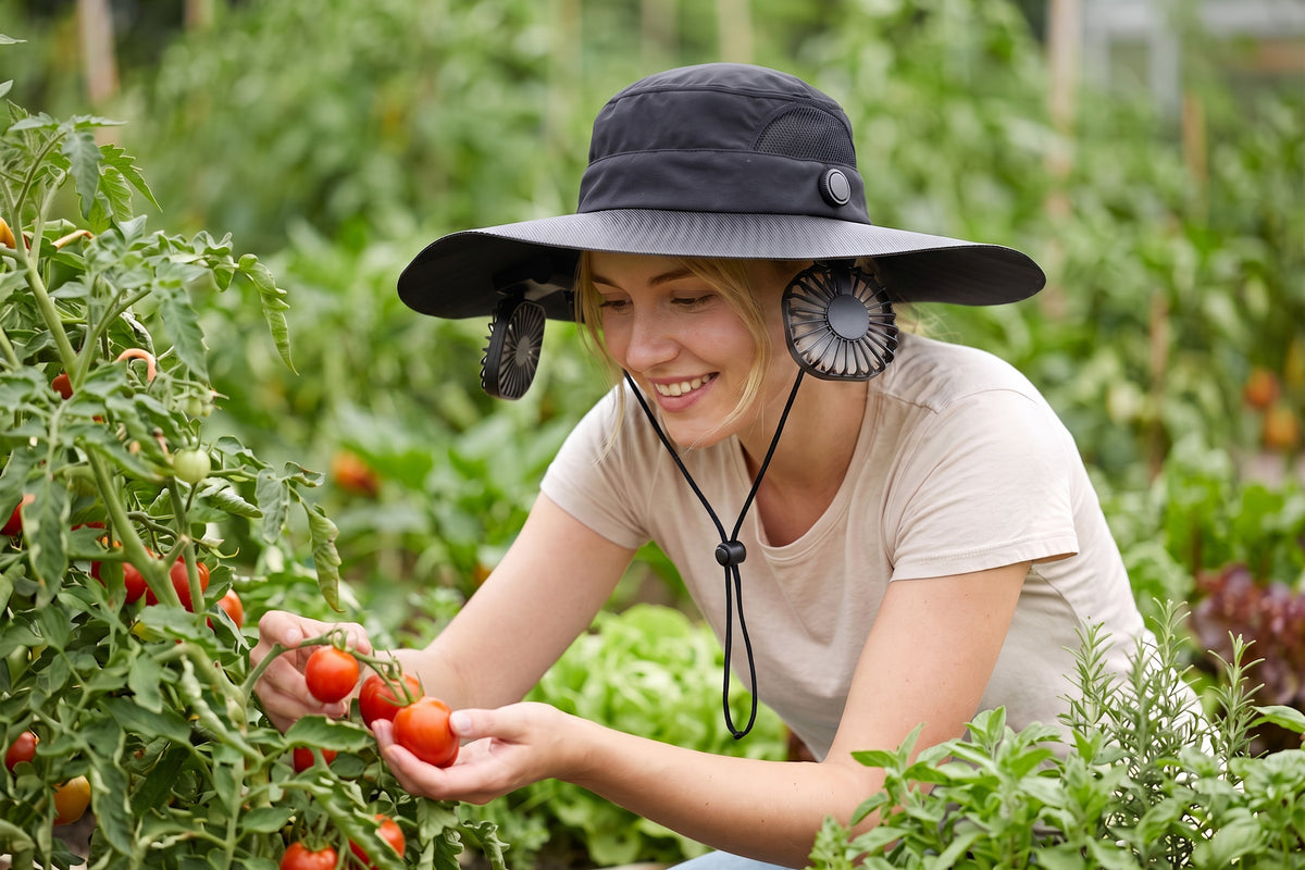 Gardener wearing a hands-free cooling fan hat while picking tomatoes